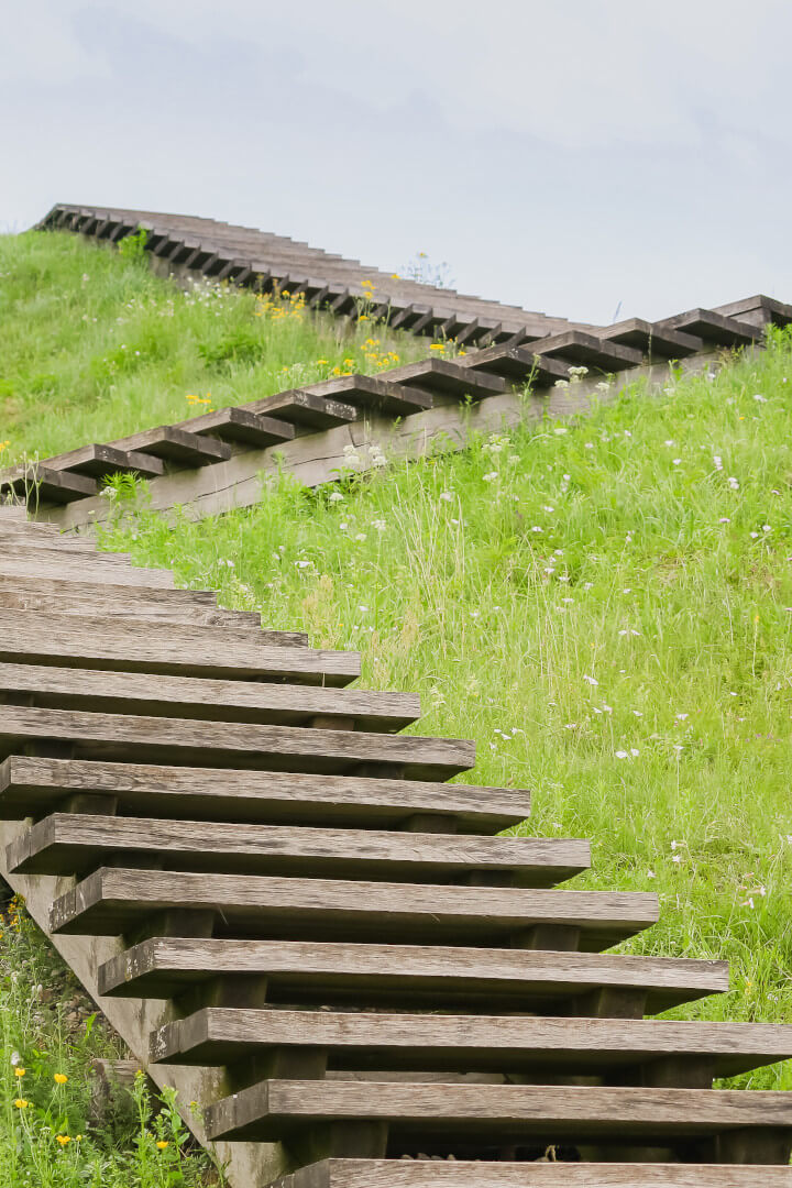 wooden steps up a grassy hill